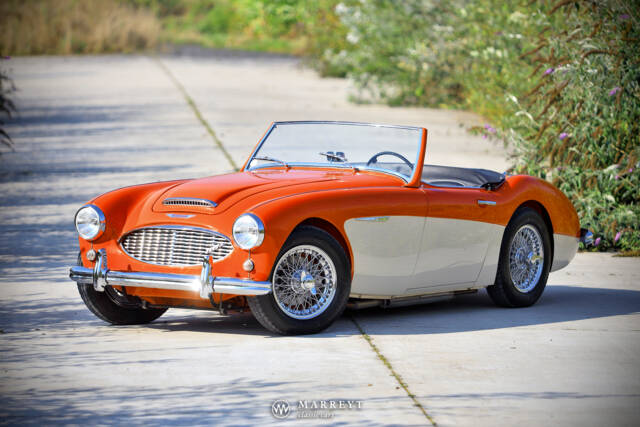 Afbeelding 1/40 van Austin-Healey 3000 Mk I (BN7) (1959)