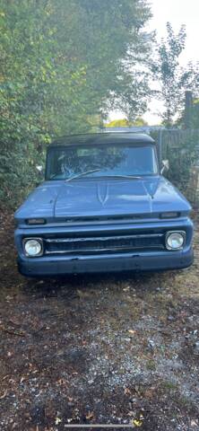 Bild 1/10 von Chevrolet Apache Panel (1960)