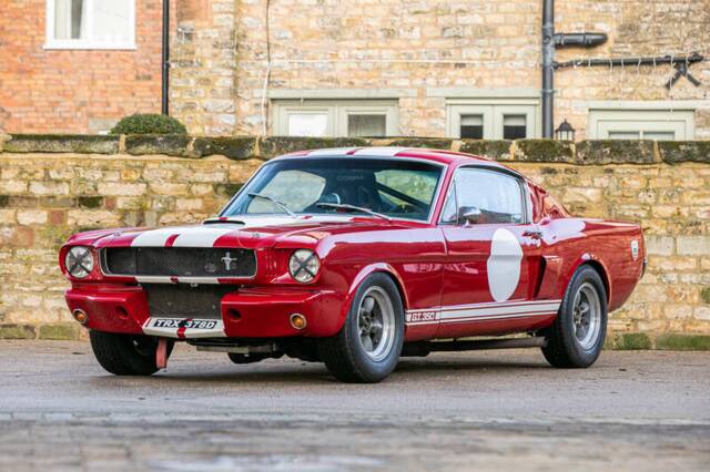 Bild 1/50 von Ford Shelby GT 350 (1966)