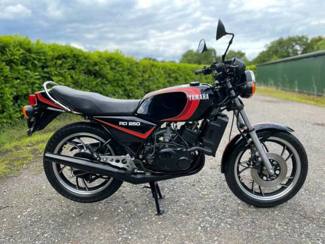 Afbeelding 1/50 van Yamaha DUMMY (1981)