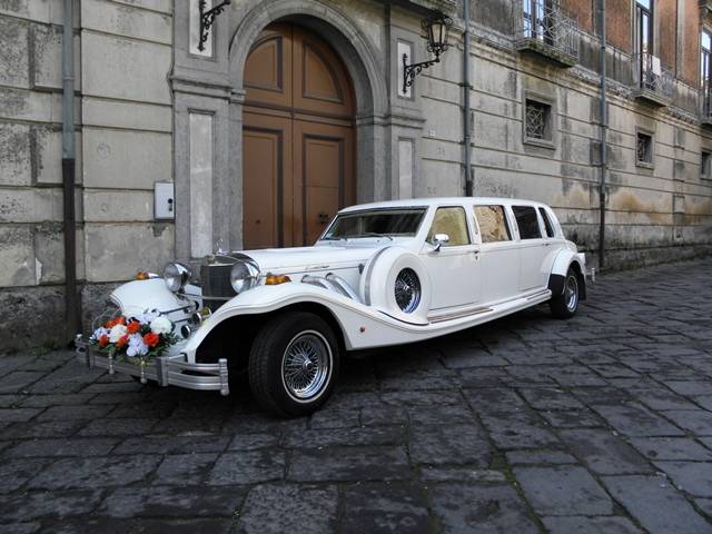 Image 1/36 of Excalibur Pullman (1993)