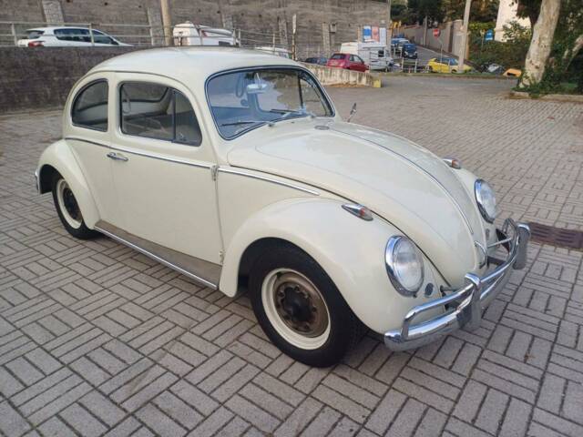 Bild 1/36 von Volkswagen Käfer 1200 Export "Dickholmer" (1963)