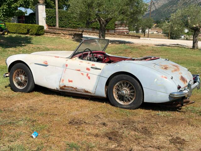 Bild 1/22 von Austin-Healey 3000 Mk II (BN7) (1960)