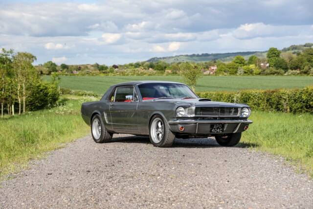 Bild 1/22 von Ford Mustang Notchback (1965)