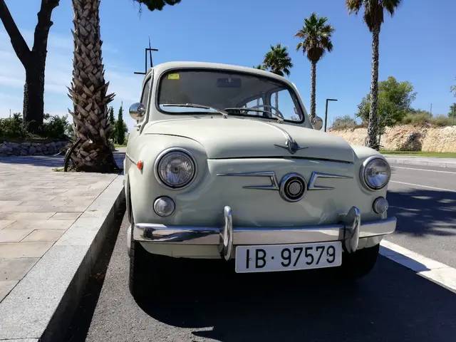Immagine 1/10 di SEAT 800 (1966)
