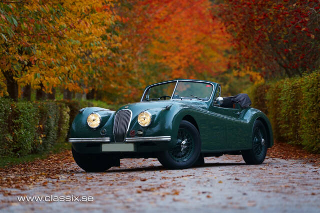 Immagine 1/23 di Jaguar XK 120 DHC (1954)