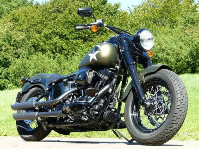 Bild 1/8 von Harley-Davidson DUMMY (2016)