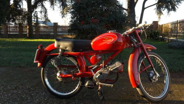Bild 1/20 von Moto Guzzi Cardellino 75 (1960)