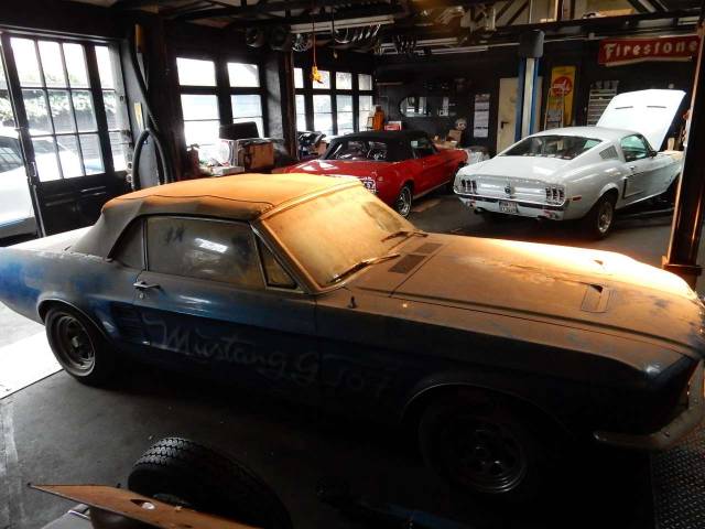 Afbeelding 1/44 van Ford Mustang 390 GTA (1967)