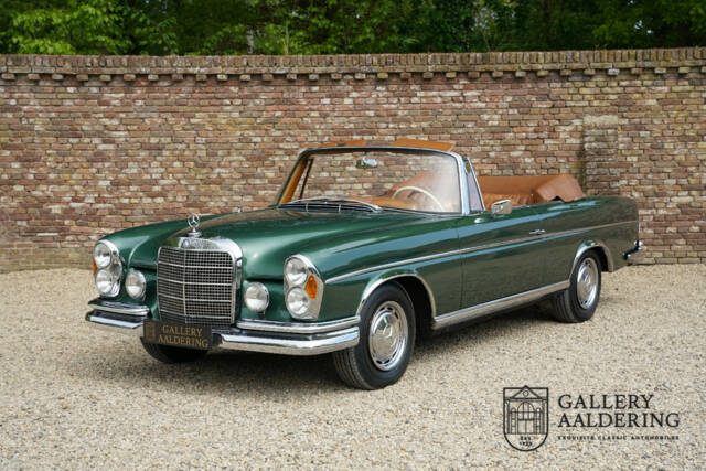 Bild 1/50 von Mercedes-Benz 220 SE b (1964)