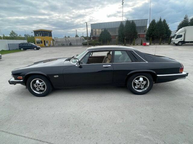 Bild 1/8 von Jaguar XJ-S 3.6 (1984)