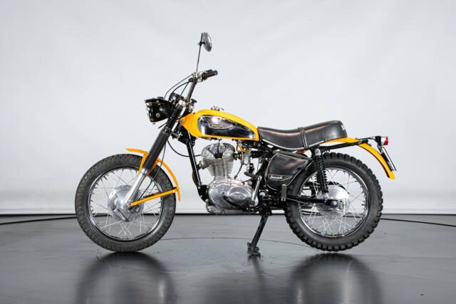 Bild 1/50 von Ducati 250 Scrambler (1971)