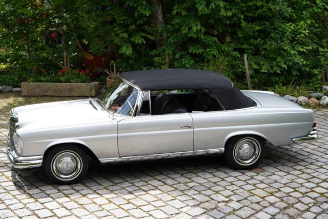 Bild 1/13 von Mercedes-Benz 220 SE b (1962)