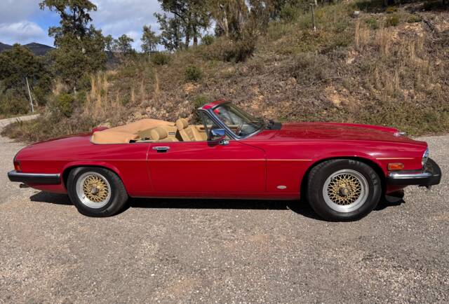 Afbeelding 1/62 van Jaguar XJ-S Convertible (1988)