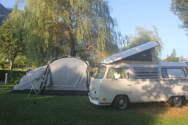 Immagine 1/51 di Volkswagen T2a Kombi (1971)