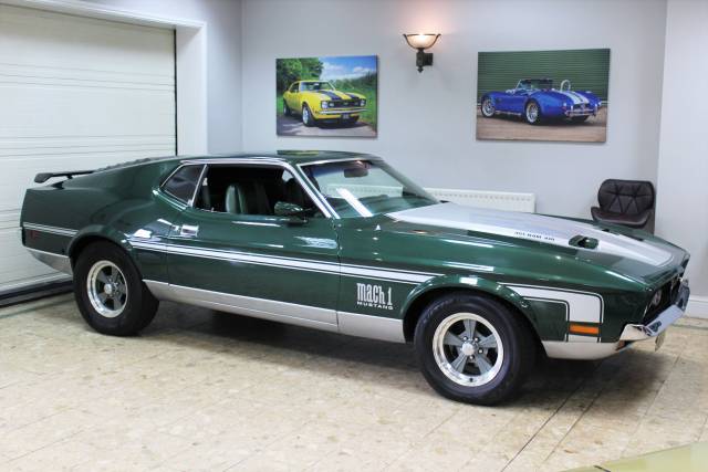 Bild 1/50 von Ford Mustang Mach 1 (1971)