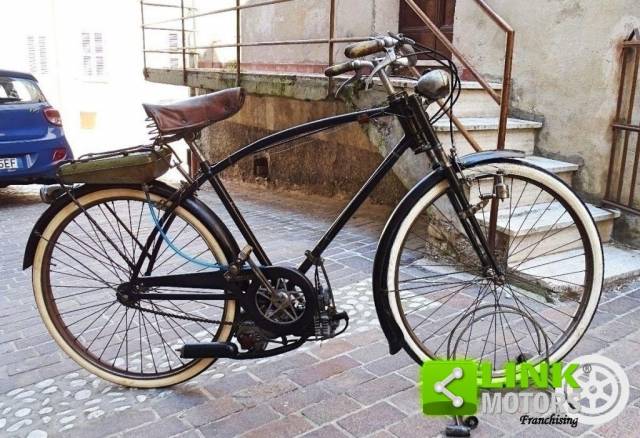 Bild 1/10 von Gallina DUMMY (1950)