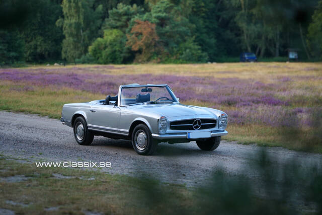 Image 1/18 of Mercedes-Benz 280 SL (1969)