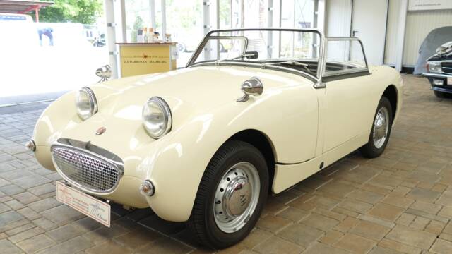 Bild 1/17 von Austin-Healey Sprite Mk I (1959)