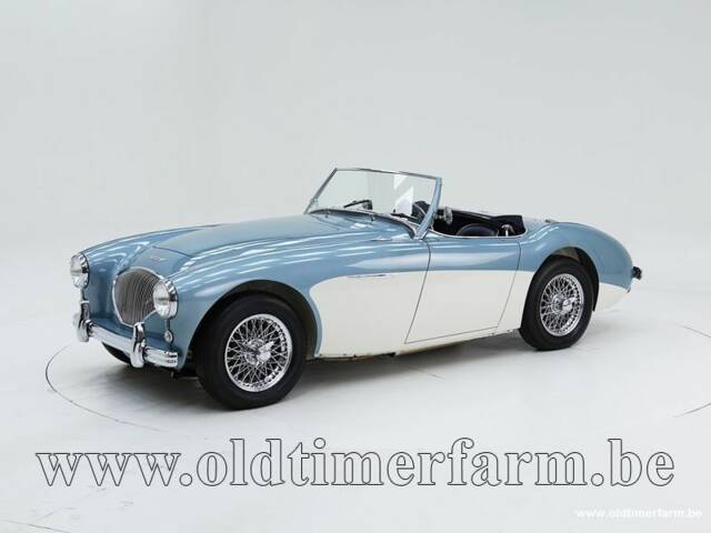 Image 1/15 de Austin-Healey 100/4 (BN1) (1954)