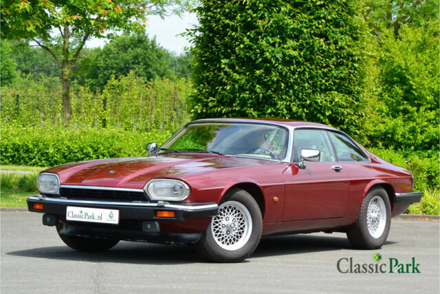 Bild 1/50 von Jaguar XJS 5.3 V12 (1992)