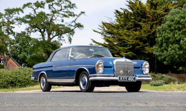Bild 1/50 von Mercedes-Benz 300 SE (1965)