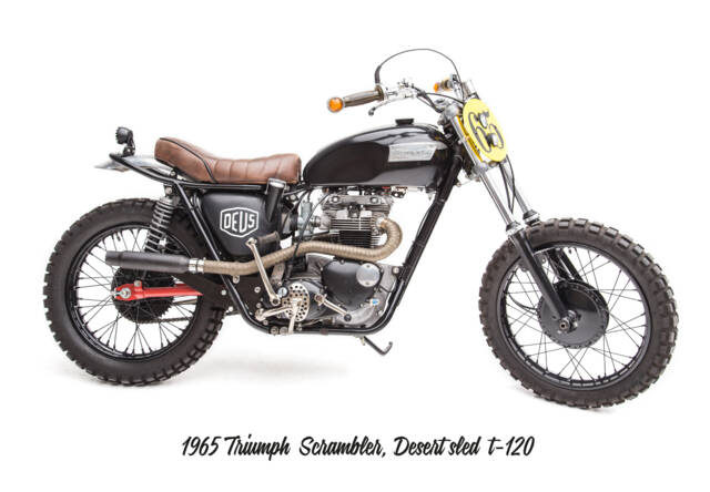 Bild 1/5 von Triumph DUMMY (1965)