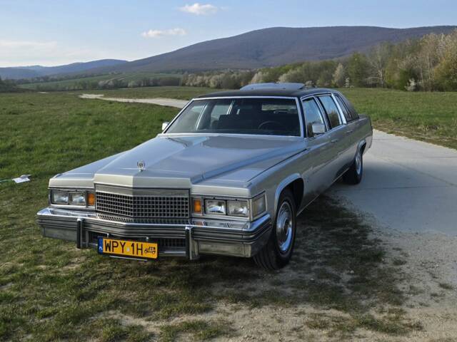 Bild 1/8 von Cadillac Fleetwood (1979)