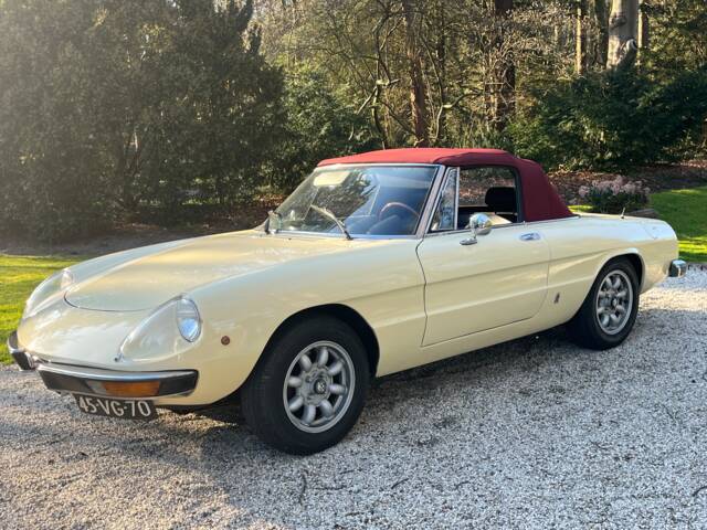 Afbeelding 1/12 van Alfa Romeo 2000 Spider Veloce (1978)