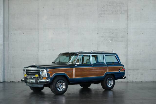 Bild 1/50 von Jeep Grand Wagoneer (1987)