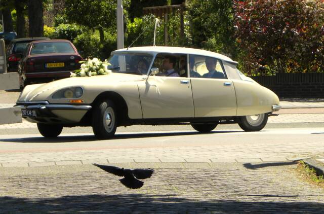 Imagen 1/31 de Citroën D Spécial (1974)