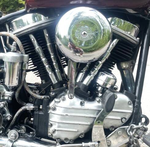Immagine 1/11 di Harley-Davidson FL Panhead (1956)