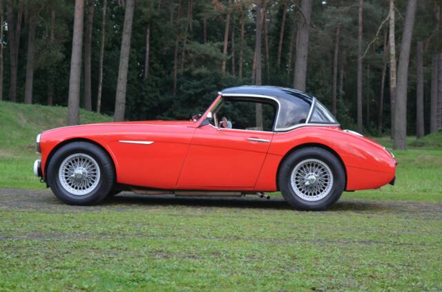Image 1/18 de Austin-Healey 100/6 (BN6) (1958)