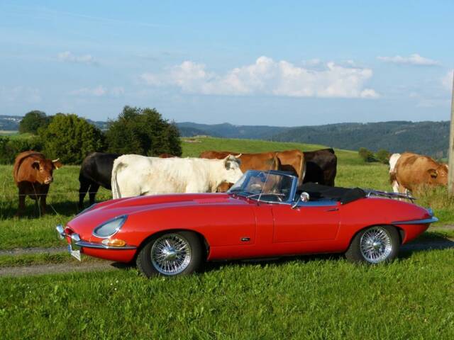 Image 1/21 of Jaguar E-Type 4.2 (1967)