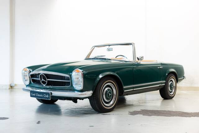 Immagine 1/32 di Mercedes-Benz 250 SL (1967)