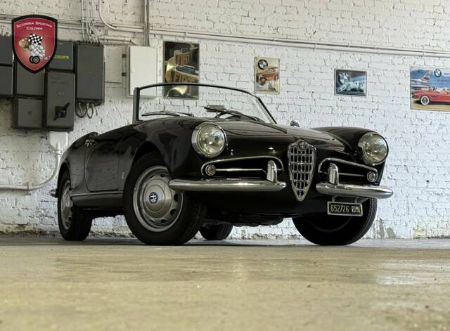 Image 1/98 of Alfa Romeo Giulietta Spider Veloce (1958)
