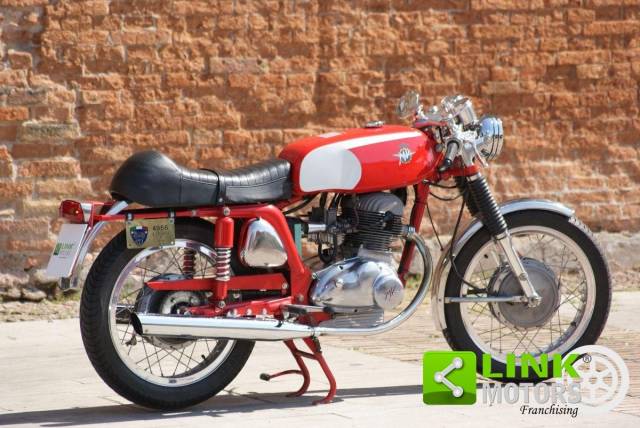 Image 1/19 of MV Agusta DUMMY (1971)