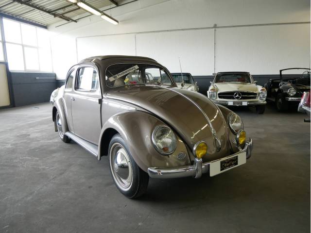 Bild 1/27 von Volkswagen Käfer 1200 Standard "Ovali" (1955)