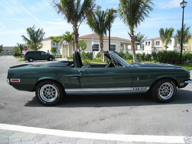 Bild 1/34 von Ford Shelby GT 500 (1968)