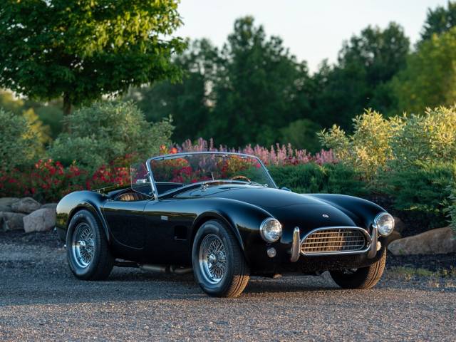 Bild 1/50 von AC Cobra 289 (1965)