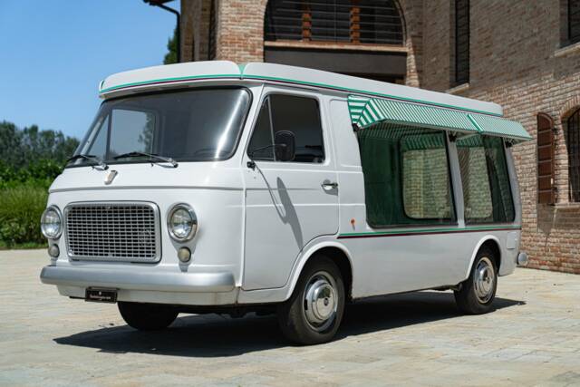 Bild 1/39 von FIAT 238 - 1500 (1976)