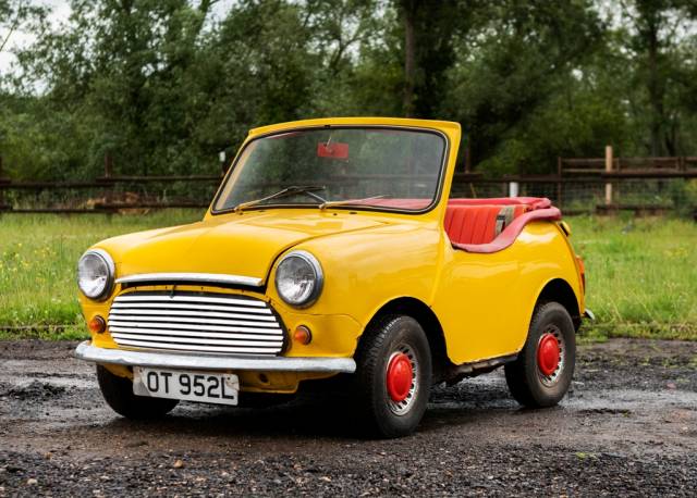Bild 1/12 von Mini 1000 (1973)