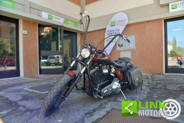 Imagen 1/27 de Harley-Davidson DUMMY (1991)