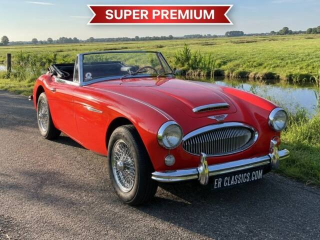 Afbeelding 1/8 van Austin-Healey 3000 Mk III (BJ8) (1966)