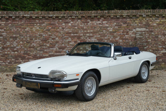Image 1/50 of Jaguar XJS 5.3 V12 (1988)