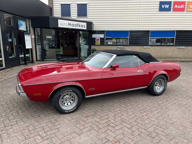 Bild 1/101 von Ford Mustang 250 (1972)