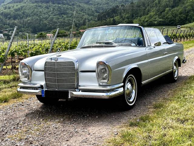 Bild 1/20 von Mercedes-Benz 250 SE (1966)