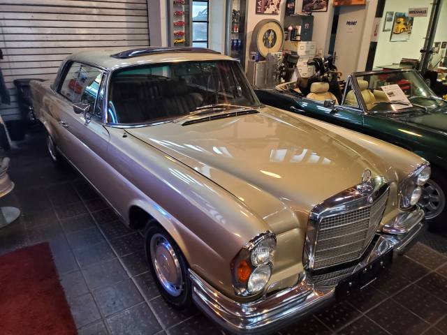 Bild 1/19 von Mercedes-Benz 280 SE 3,5 (1971)