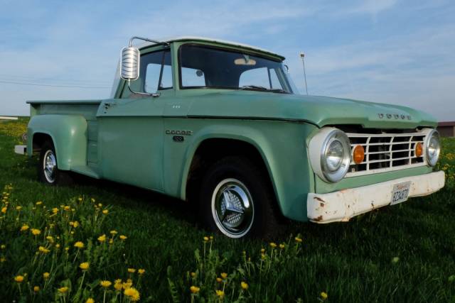 Bild 1/14 von Dodge D 100 (1967)