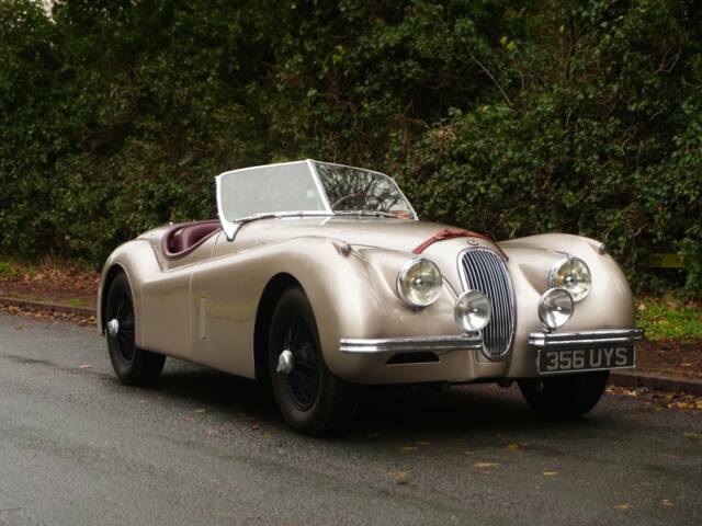 Bild 1/16 von Jaguar XK 120 OTS (1953)